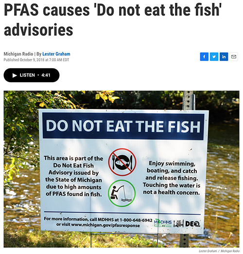 Freshwater Fish and 'Forever Chemicals' Health Issues