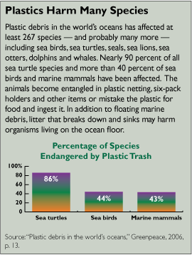 Marine animals are swallowing and becoming entangled in plastic at alarming  rates, report finds - ABC News