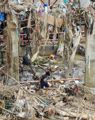 Plastic Pollution Robs Us of Our Wildlife: So Let's Change – HAY