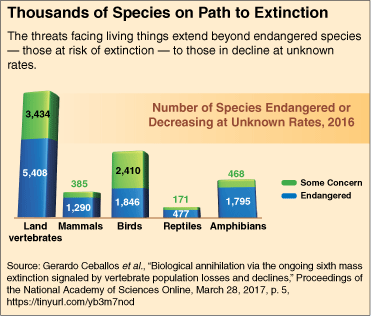 animal extinction chart