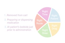 Pie-chart of medication administration aspects.