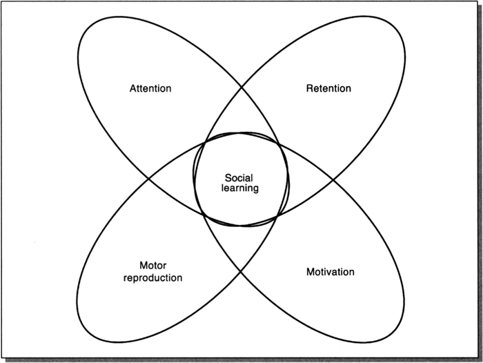 Social learning theory discount and child development