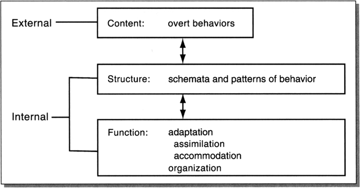 Piaget cheap discontinuous development