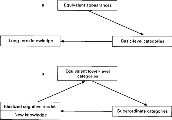 Idealized discount cognitive models