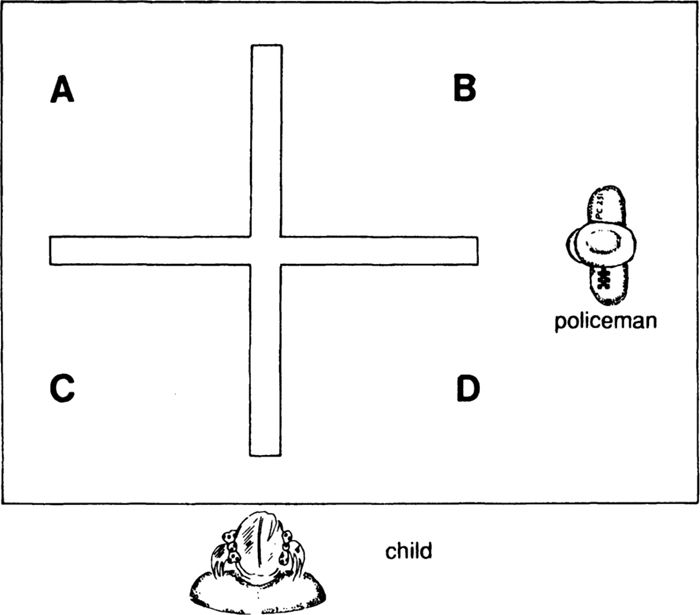 Sage Academic Books Cognitive Development Today Piaget and His