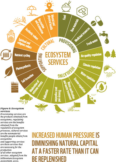 A donut chart, titled “Increased human pressure is diminishing natural capital at a faster rate than it can be replenished,” shows the ecosystem services.