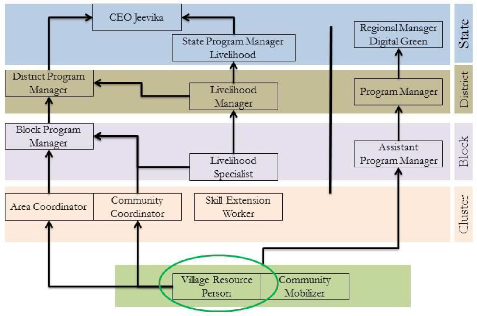 The illustration shows a chart of organisational structure of Jeevika and Digital Green.