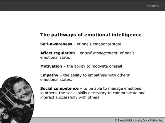 Emotional Competency - Revenge