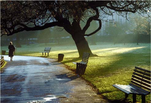 Sage Reference - Encyclopedia of Environment and Society - Urban Parks ...