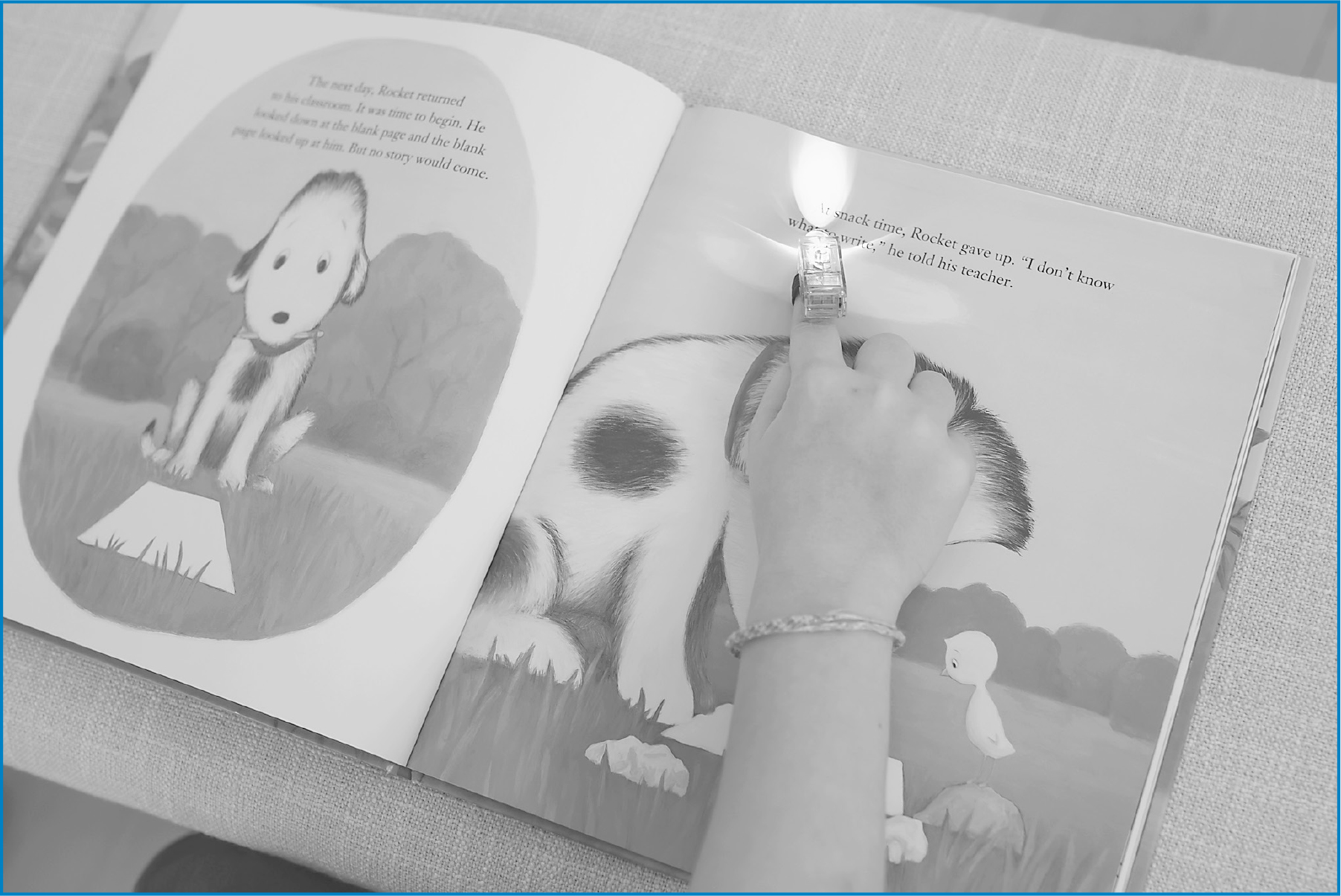 Homophones - Flip Book - Smart Kids | The Dyslexia Shop