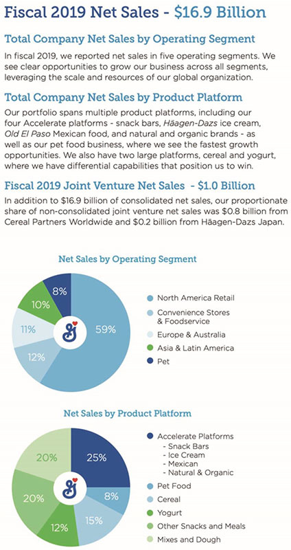 An image shows net sales of the fiscal year 2019.