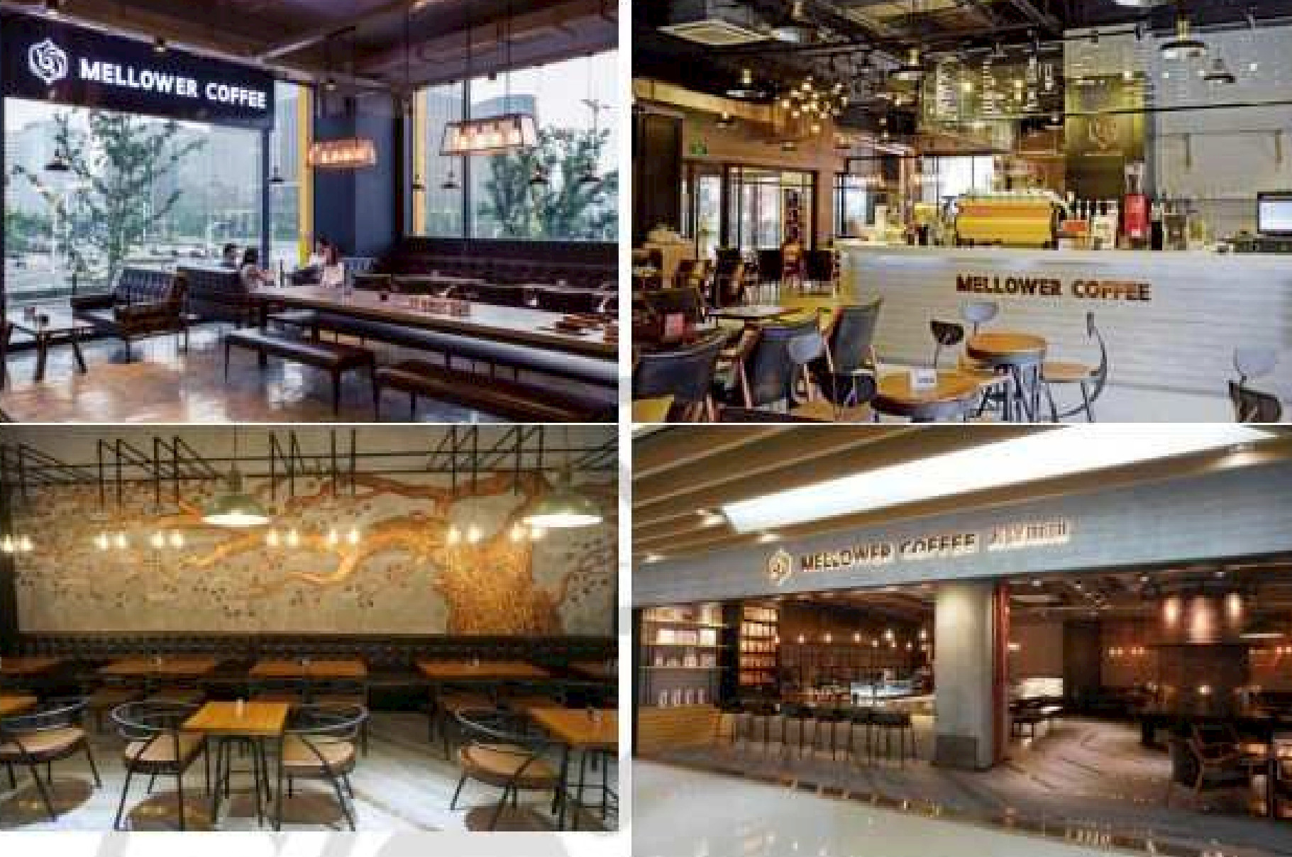 A photo shows four panels depicting the interior and exterior view of Mellower Coffee shop. The arrangements depict long tables with benches along with tables and chairs with bulbs, and a wall arrangement depicting the branches of a tree.