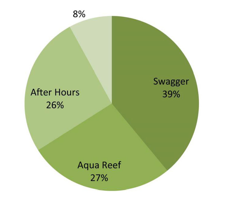 Sage Business Cases - Old Spice: Repeating Success in the Face of ...