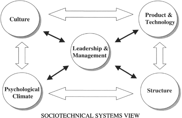 Sage Academic Books - Organization & Management Problem Solving: A