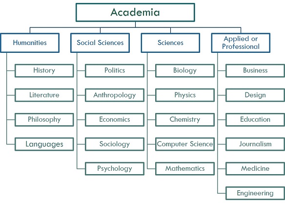 A figure shows a tree diagram of different disciplines in academia.
