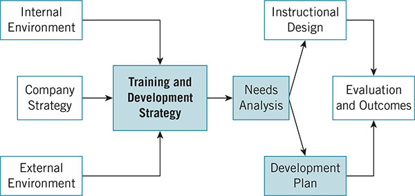 A training and strategic development framework is explained using a simple linear flow similar to Unnumbered Exhibit P-I. The The need analysis and the development plan stage are highlighted.Training and Development Strategy stage is boldfaced.