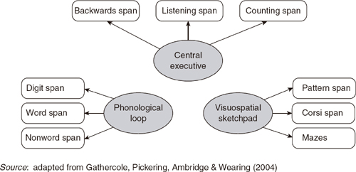 The development of cheap working memory in children