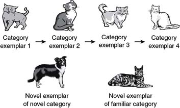 Cognitive and language development in children oates discount grayson