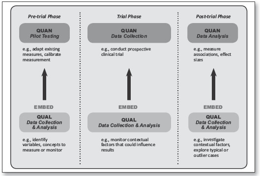 Editorial: Integrating Data Analyses in Mixed Methods Research